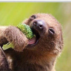 Meet your Posher, Cassie